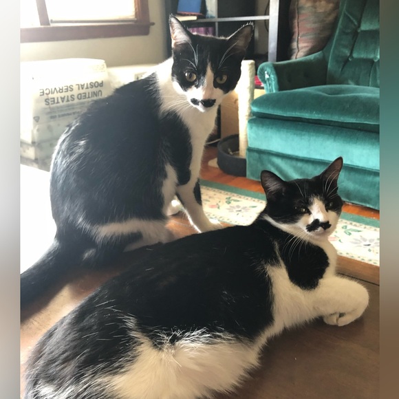 Please read 💚 - Picture 11 of 14